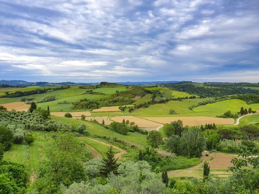 A beautiful shot of green hills and fields in Tuscany