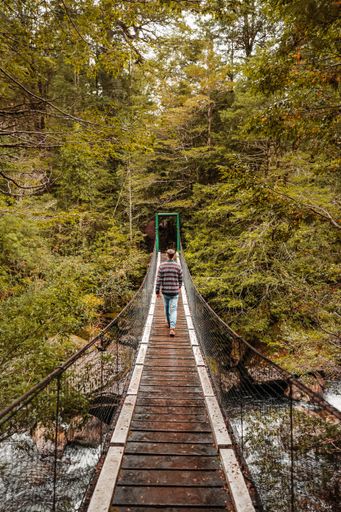 A vertical shot of a young man from behind, walking on a wooden bridge over a river in the woods