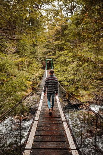 A vertical shot of a young man in a sweater, walking on a wooden bridge in the woods over a river