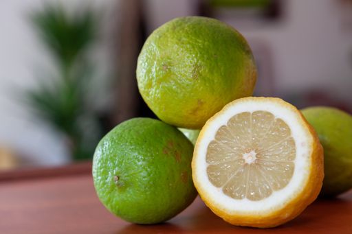 A closeup shot of cut limes and lemon on a table