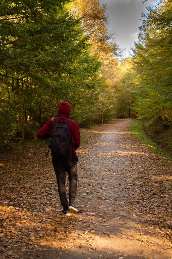 A vertical shot of a guy walking in the woods on a cloudy sky background
