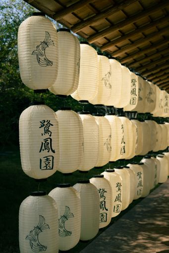 A vertical shot of rows of beautiful white koy fish lanterns hanging