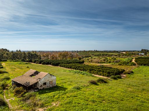 A charming rural residence has been transformed from an old farmhouse into a beautifully modernized home, with lush green pastures