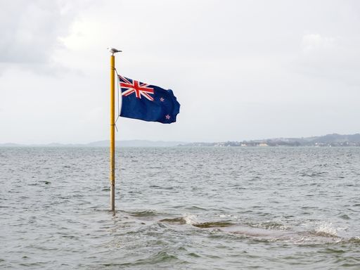 View of New Zealand flag on beach