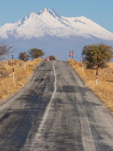 A vertical shot of a road with a snow-covered mountain in the background