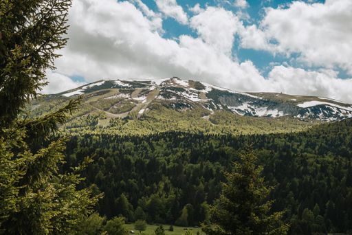 A closeup shot of a mountainous landscape with rich green coverage and snow on the peak