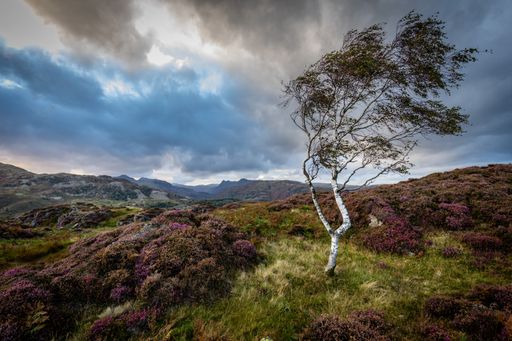 A mesmerizing view of a beautiful mountainous landscape under a cloudy sky