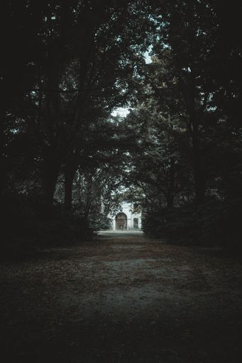 A vertical picture of a park surrounded by greenery in Padua in Italy