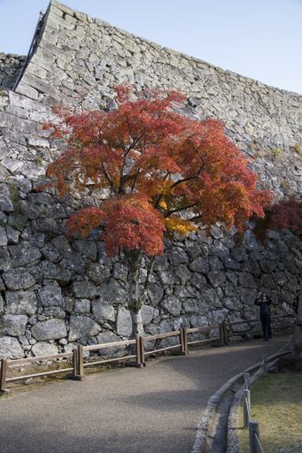 Himeji, Japan- 30 Nov, 2019: Tourists walk around Himeji Castle or White Heron Castle (Shirasagijo) in autumn Hyogo, Japan