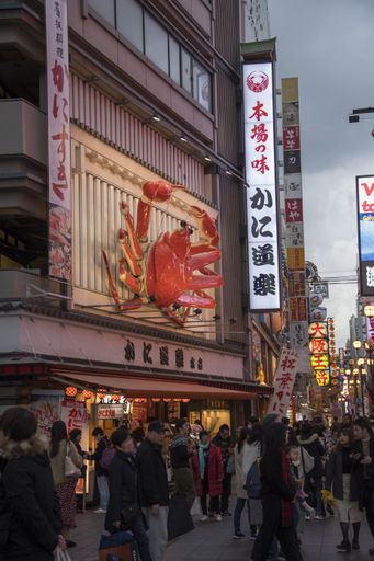 Osaka, Japan- 02 Dec, 2019: Tourist walking around pedestrian walking street at Dotonbori arcade in Namba district of Osaka, Japan