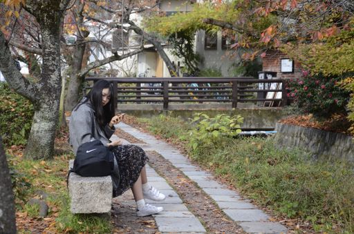 Kyoto, Japan- 24 Nov, 2019: People enjoy the beautiful colorful autumn leaves on Philosopher Path at in Kyoto, Japan.