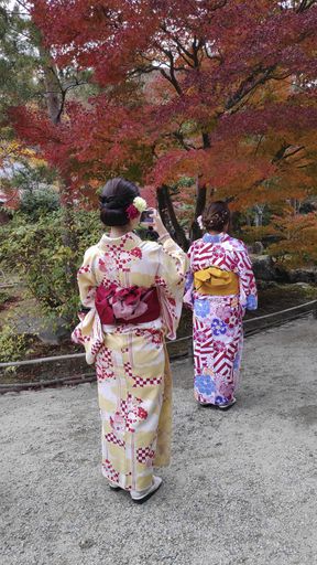 Kyoto, Japan- 26 Nov, 2019: Visitors enjoy autumn at Tenryuji gardens in Arashiyama, Kyoto, Japan. Kyoto has 17 UNESCO World Heritage Site landmarks.