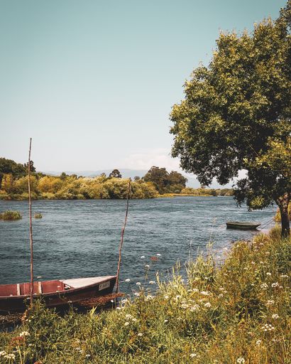 A vertical shot of small boats in a river surrounded by plants