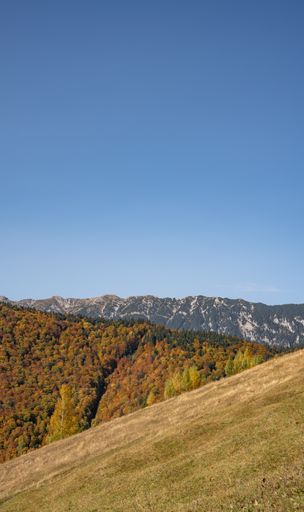 Breathtaking view of a verdant mountain range adorned with abundant foliage and majestic peaks