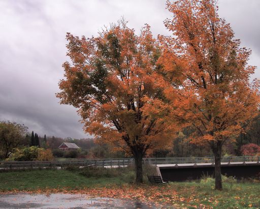 The Adirondacks in Hamilton County, New York on a overcast autumn day