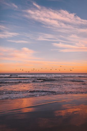 A vertical shot of a flock of sea birds flying over the sea during sunset