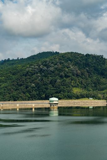 A green dam lake with rainforest trees