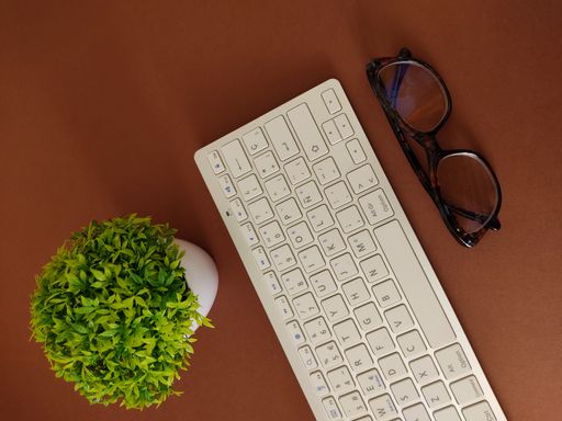 The top view of houseplant and glasses by the computer keyboard