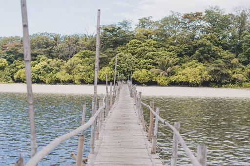 A wide angle shot of a bridge over the water in front of the beach covered in trees