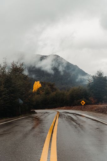 A vertical shot of a wet asphalt road n the background of foggy mountains