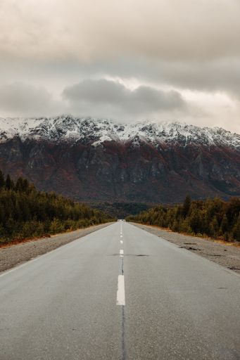 An empty asphalt road through the wild nature