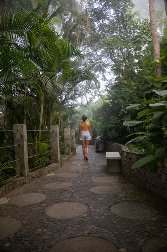 A back view of a female walking through a botanical park