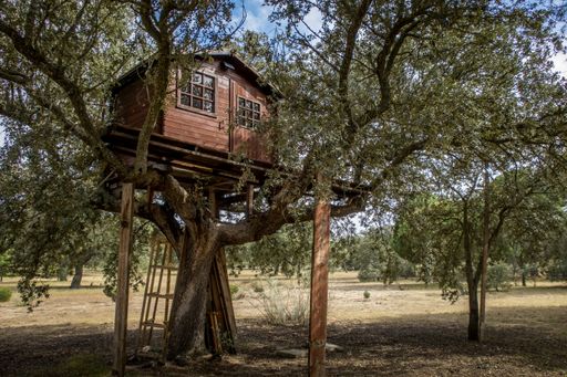 A low angle shot of a wooden treehouse with windows in the middle of a forest under a blue sky