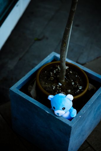 A blue bear toy in a stone pot