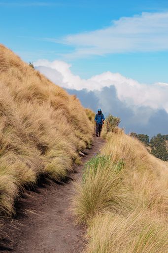 A vertical shot of a hiker on a trail climbing the Iztaccihuatl volcano