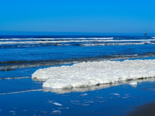 The shore near the Wadden Sea in Ameland, the Netherlands under a clear blue sky with snow on the beach