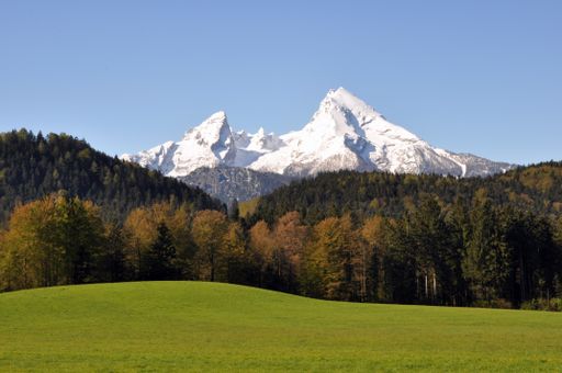 meadow and forest in front of Mt. Watzmann on a sunny day in springtime, Berchtesgaden, Germany