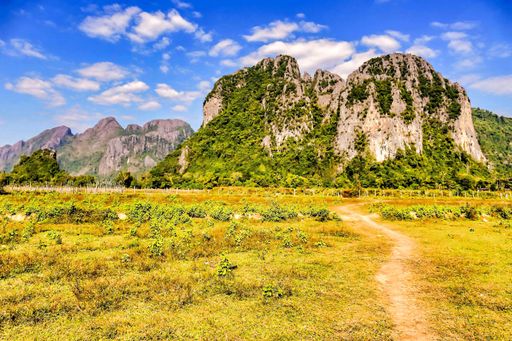 A pathway in the middle of the field with mountains in the distance