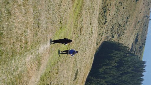 The hikers trekking through a mountain landscape with backpacks