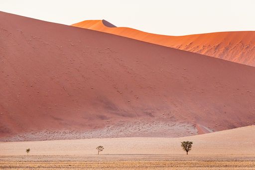 A beautiful scenery of sand dunes in the Namib Desert, Sossusvlei, Namibia