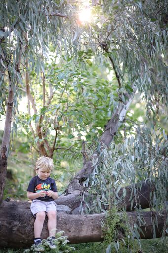 A blonde kid sitting on a tree trunk in the forest