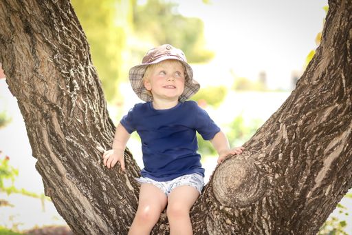 A happy adorable blonde Australian kid sitting between two branches of a tree in the park