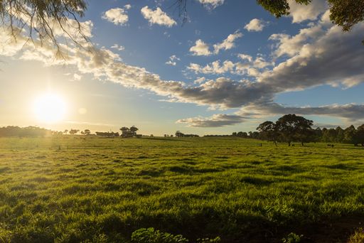 A gorgeous shot of a green grass field surrounded by trees during the cloudy sunset