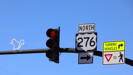 A Traffic signage in Brevard, NC, home of the beloved white squirrel.