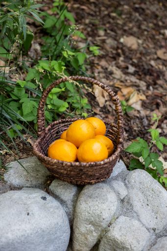 A vertical shot of fresh ripe oranges in the basket