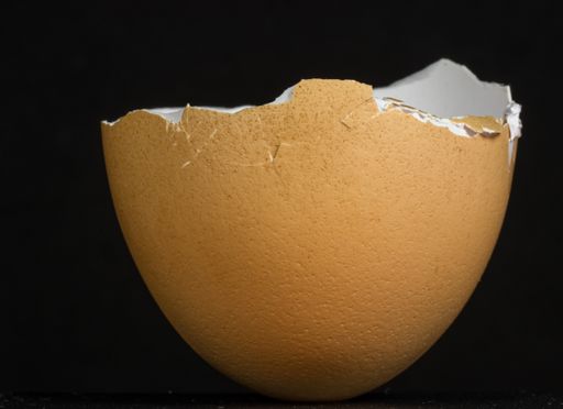 Cracked egg shell on dark surface with black background
