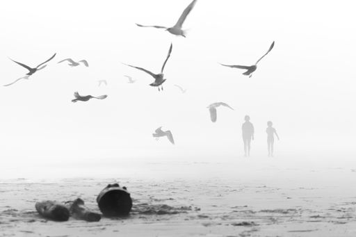 A group of birds flying over a beach with a child present among the birds
