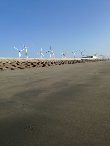 A vertical shot of a sandy beach with a row of windmills and blue sky