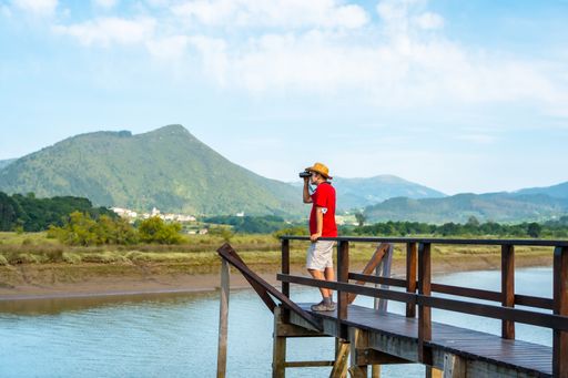 A female watching birds with spyglasses from the wooden piers of the Urdaibai marshes, a biosphere reserve in Bizkaia next to Mundaka. Basque Country