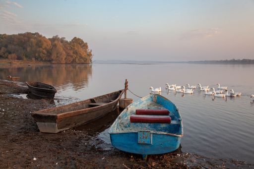 Foggy dawn over the lake. A lone boat on the water. Ducks swim next to the boat.