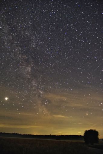 A mesmerizing glittering starry sky seen through a field - perfect for wallpapers
