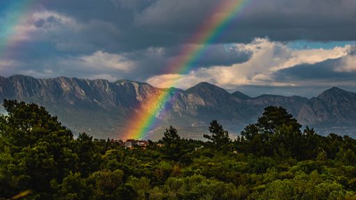 A scenic view of a beautiful rainbow over a thick forest landscape under a gloomy sky