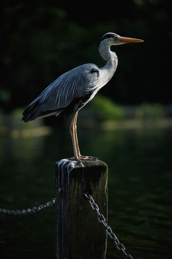 A vertical shot of a heron perched on a railing pole by the dock at a lake