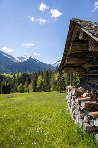 A vertical shot of an old wooden hut and trees in the mountains