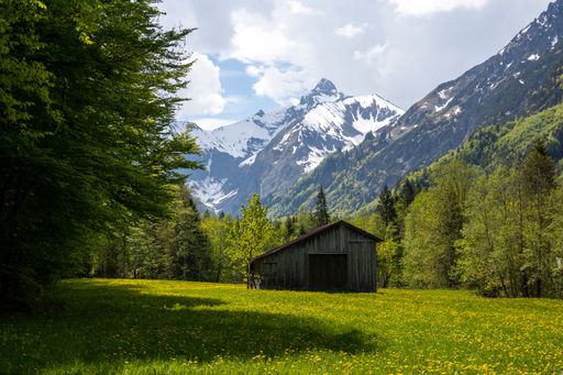 A scenic view of an abandoned wooden hut in a green meadow enveloped in flowers