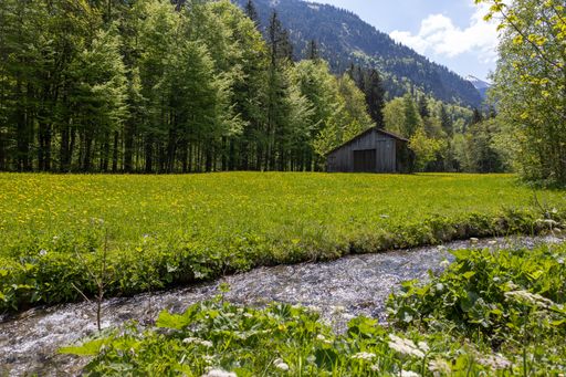 A scenic view of a wooden abandoned hut and a river flowing through the forest